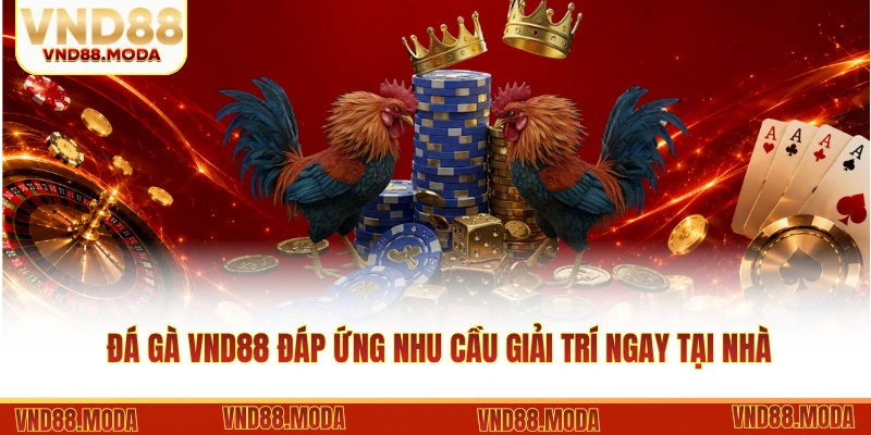 Đá gà VND88 đáp ứng nhu cầu giải trí ngay tại nhà