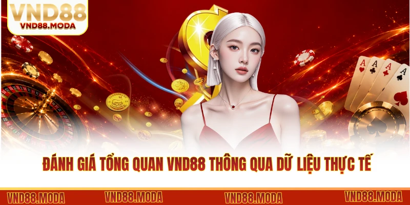 Đánh giá tổng quan VND88 thông qua dữ liệu thực tế