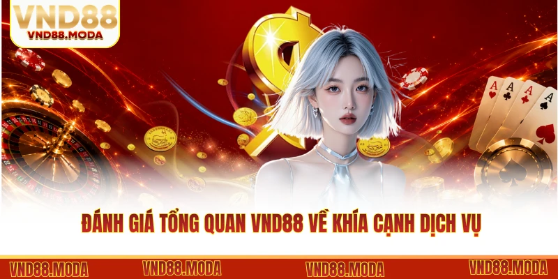 Đánh giá tổng quan VND88 về khía cạnh dịch vụ