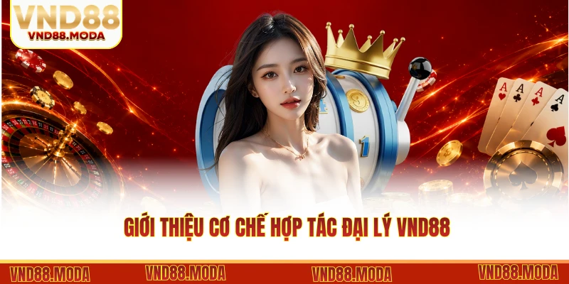 Giới thiệu cơ chế hợp tác đại lý VND88