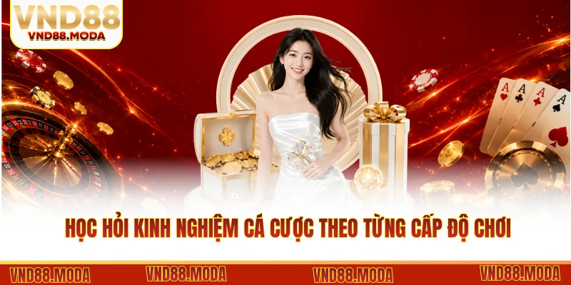 Học hỏi kinh nghiệm cá cược theo từng cấp độ chơi