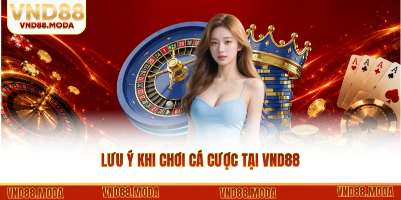 Lưu Ý Khi Chơi Cá Cược Tại VND88 Giúp Bạn Thắng Lớn Bất Ngờ