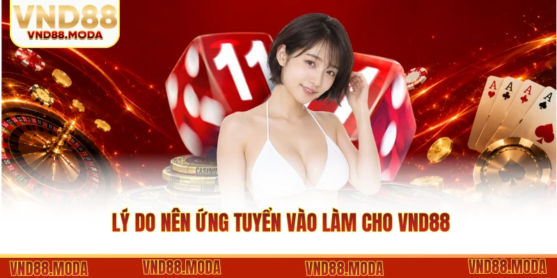 Lý do nên ứng tuyển vào làm cho VND88