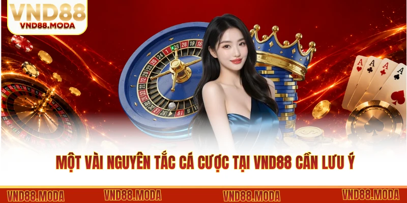 Một vài nguyên tắc cá cược tại VND88 cần lưu ý