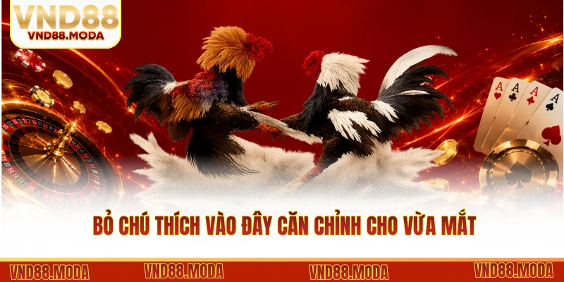 Nắm rõ các quy tắc cá cược đá gà VND88