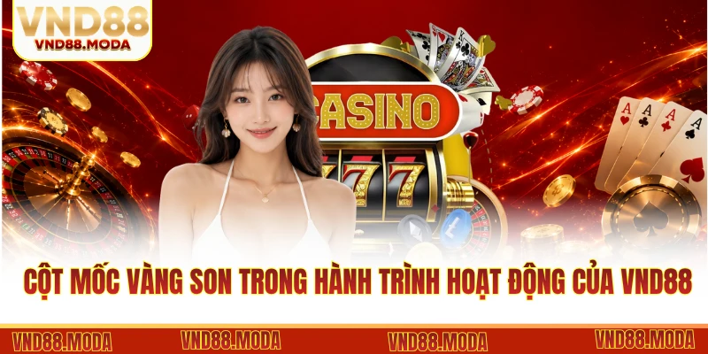 Những cột mốc vàng son trong hành trình hoạt động của VND88