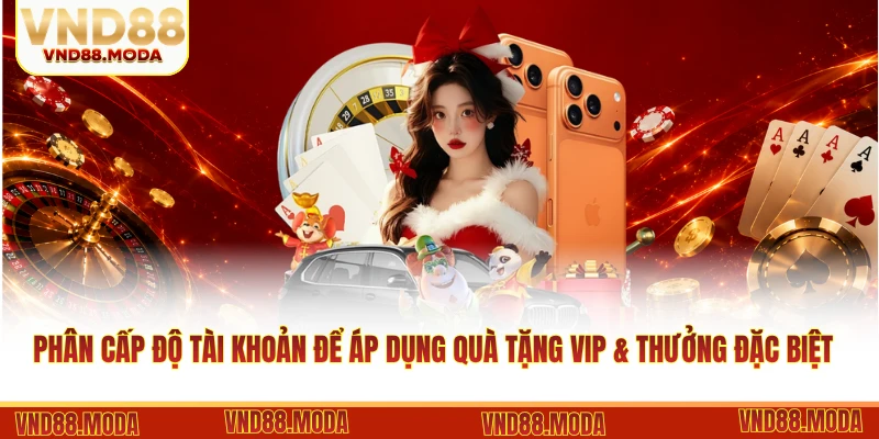 Phân cấp độ tài khoản để áp dụng quà tặng VIP & thưởng đặc biệt