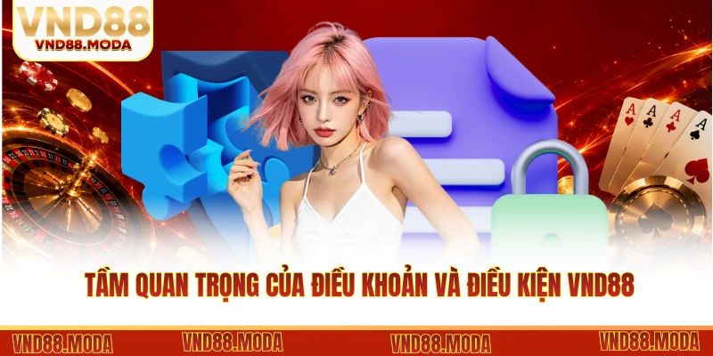Tầm quan trọng của điều khoản và điều kiện VND88