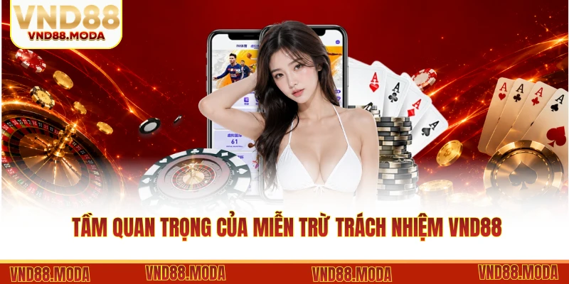 Tầm quan trọng của miễn trừ trách nhiệm VND88