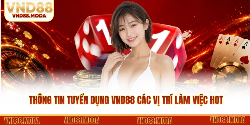 Thông tin tuyển dụng VND88 các vị trí làm việc hot