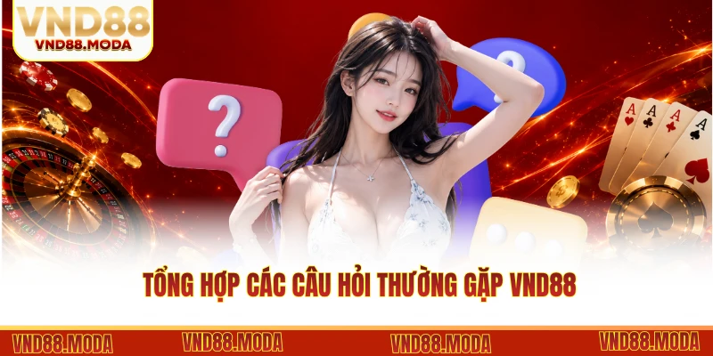 Tổng hợp các câu hỏi thường gặp VND88